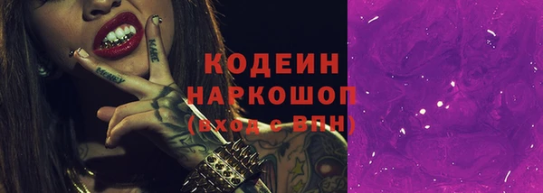 хмурый Алзамай