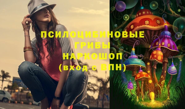 хмурый Алзамай