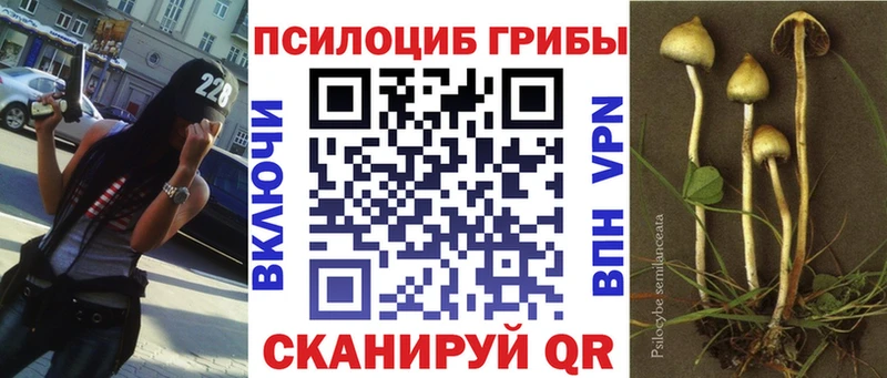 наркотики  Феодосия  Галлюциногенные грибы прущие грибы 